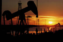 Oil
