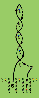 F&R Slalom Layout