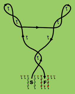 Tiger Moth Layout