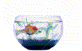 Just one ickle fishy