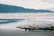 Kapiti Island from Paraparaumu beach
