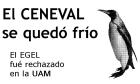 Imgenes de los carteles pegados en la UAM Xochimilco