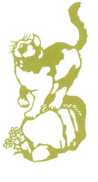 wpeE.jpg (8031 bytes)