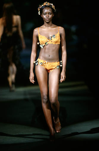 BabeStop - World's Largest Babe Site - victorias_secret49.jpg