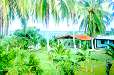 Casa de Playa de Victorio