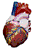 hrtback.gif (11418 bytes)