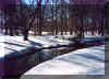 park901.jpg (176992 bytes)
