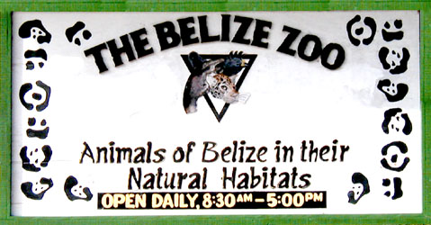 Belize Zoo
