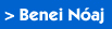 Benei Naj