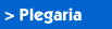 Plegaria