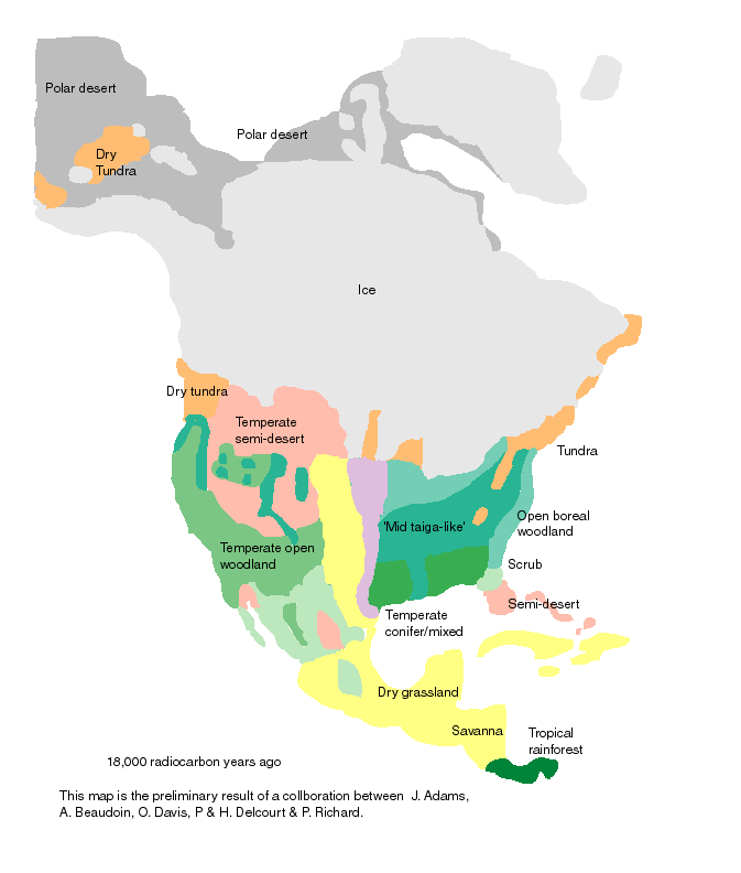 This contrasts quite well. The maximum extent of glaciation in the last Ice Age tells that New York was like Barrow, Alaska, with rolling tundra. Atlanta was like Churchill, mid-taiga conditions. Lastly, our own Tampa Bay area was about as cool as Toronto or Buffalo, but a lot drier. In fact, it was probably more like inner areas of Washington and Oregon- much drier than the moist Pacific areas.