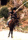 vidhorse1.jpg (110261 bytes)