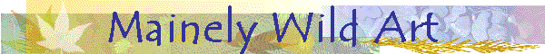 Mainely Wild Art