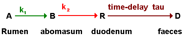 A --> B --> R --> D