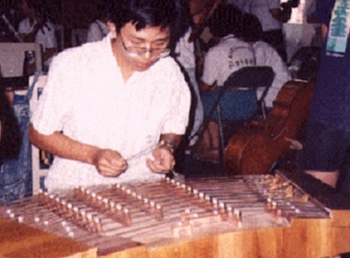 A Yang Qin player