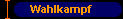  Wahlkampf 
