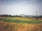 nalanct.jpg (10023 bytes)