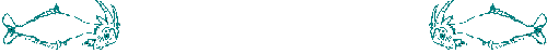 Animiertes Gif - 29k