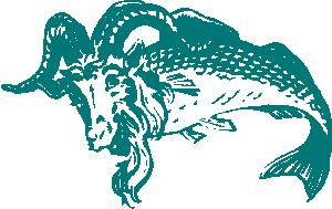 Capra piscilis alpina