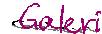 galeri.gif (1157 bytes)