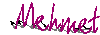 mehmet.gif (1288 bytes)