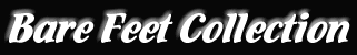 collection.GIF (4658 byte)