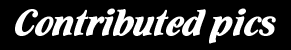 contribs.gif (1994 byte)
