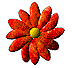 ICQ-Blume