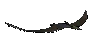 Teradactyl