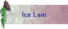 Ice Lam