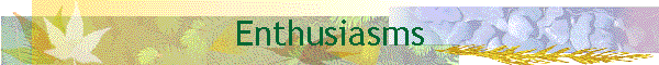 Enthusiasms