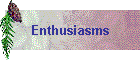 Enthusiasms