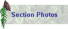 Section Photos