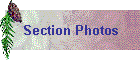 Section Photos