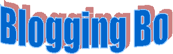 Blogging Bo