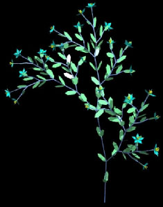 Fractal Tree