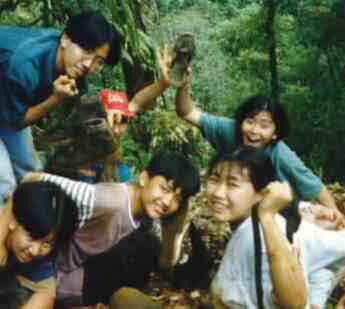 In the jungle