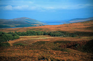 loch naver