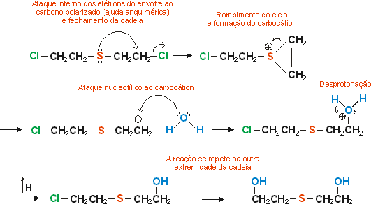 substituio nucleoflica interna