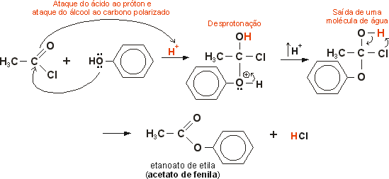 esterificao