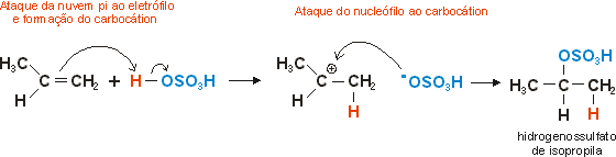 reao com cido sulfrico