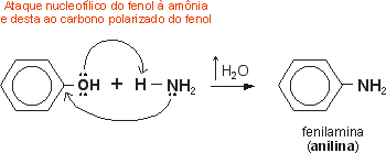 reao de fenis com amnia