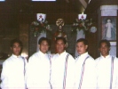 The Basses