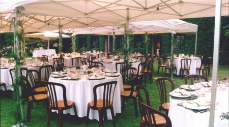 garden4.jpg 