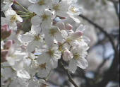 20020327.jpg