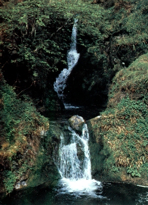 Scotland