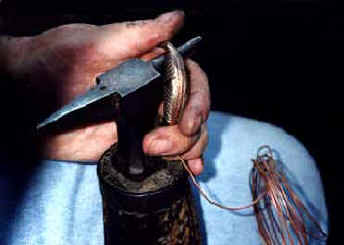 Agemina.jpg (16705 byte)