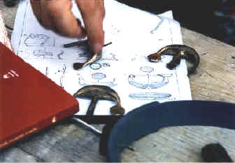 fibulae1.jpg (43988 byte)