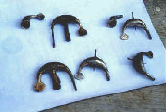 fibulae2.jpg (37451 byte)