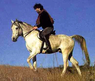 Andrea and his horse